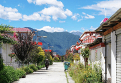 【幸福花开新边疆】林芝市久巴村：草莓铺满致